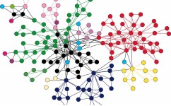 Як створити найповнішу graph розмітку компанії